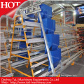 Hot Sales for Automatic Layer Cage Feeding System for Chicken